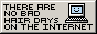 [There are no bad hair days on the internet]